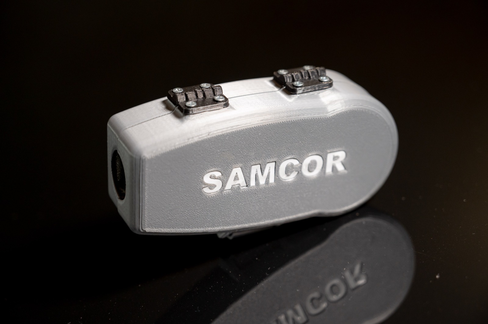Samcorcase microconvexa (5)